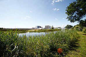 VEKA betreibt auf dem Firmengelände ein eigenes Biotop. Hier wird das Oberflächenwasser gereinigt, um anschließend für die Kühlung in der Profilextrusion eingesetzt werden zu können. © VEKA AG VEKA betreibt auf dem Firmengelände ein eigenes Biotop. Hier wird das Oberflächenwasser gereinigt, um anschließend für die Kühlung in der Profilextrusion eingesetzt werden zu können. © VEKA AG